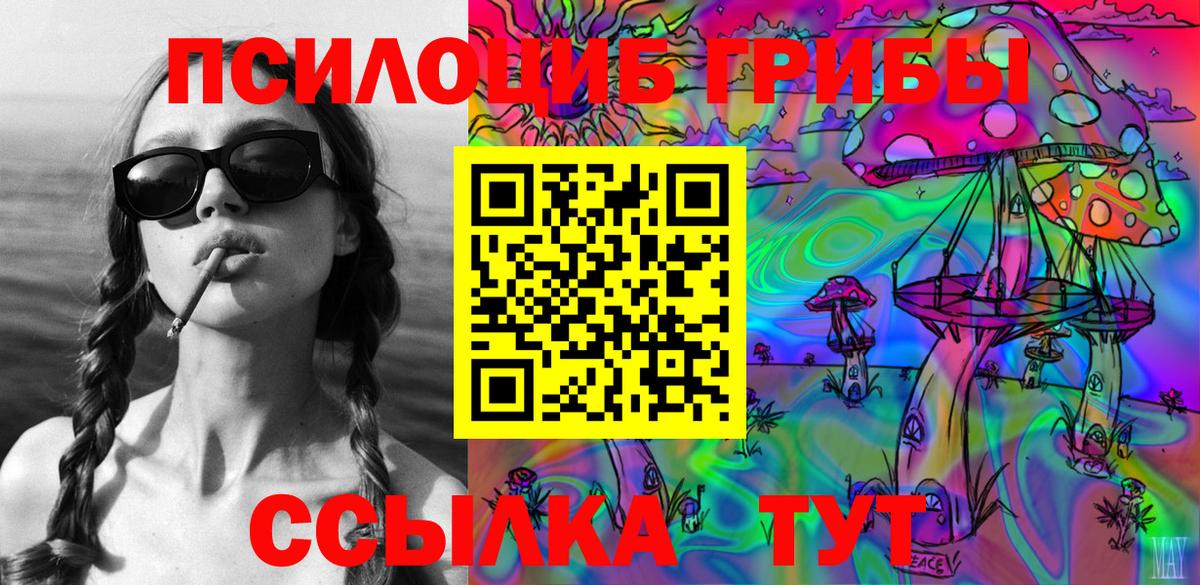 Псилоцибиновые грибы GOLDEN TEACHER  Псилоцибиновые грибы прущие грибы  Вход с VPN  Новозыбков 